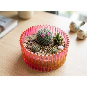 Chậu Mini Trồng Cây 7cm ( Sen Đá, Tiểu Cảnh, Decor) - Epoxy Resin Hiệu Ứng Loang Màu Nghệ Thuật