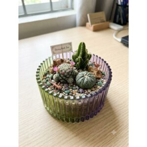 Chậu Mini Trồng Cây 7cm ( Sen Đá, Tiểu Cảnh, Decor) - Epoxy Resin Hiệu Ứng Loang Màu Nghệ Thuật