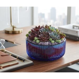 Chậu Trồng Cây Sen Đá Tiểu Cảnh - Decor - Epoxy Resin Hiệu Ứng Loang Màu Nghệ Thuật Đường Kính 9cm